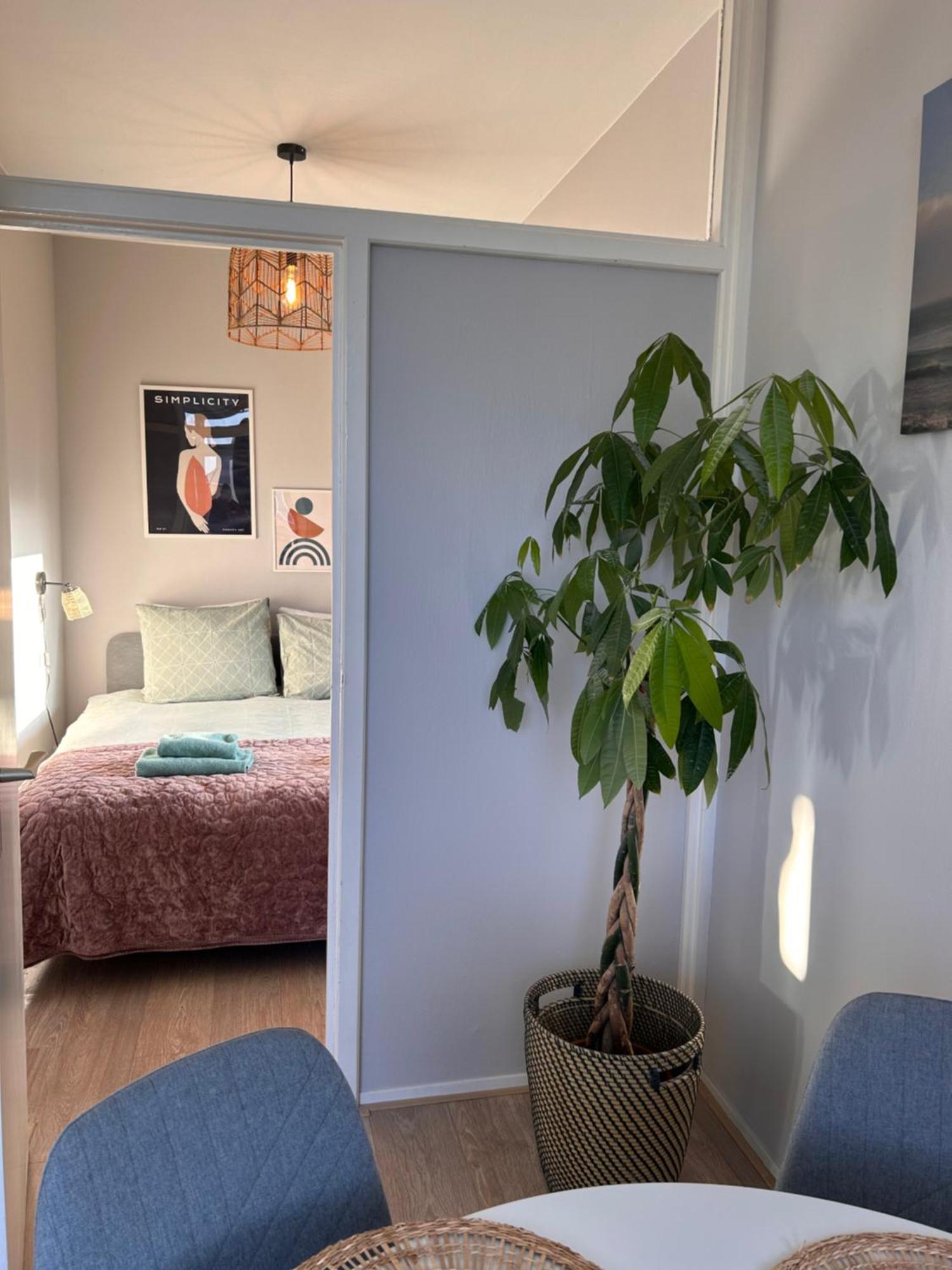 Amsterdam Beach Apartment 17, Incl Parking + Garden Zandvoort Esterno foto
